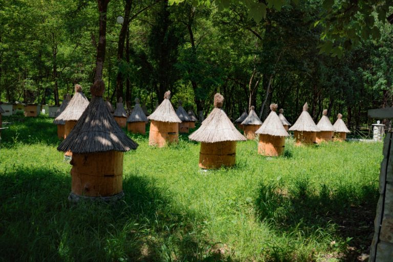 Creative Upcycling Projects for Bee Hotels Made from Everyday Items